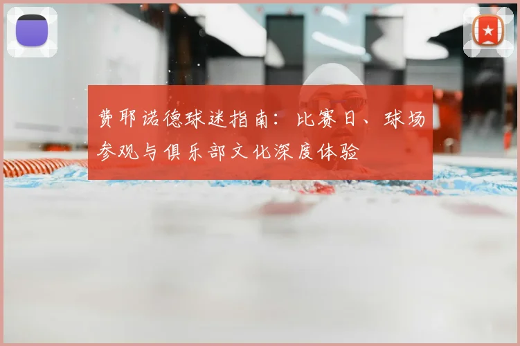 费耶诺德球迷指南：比赛日、球场参观与俱乐部文化深度体验