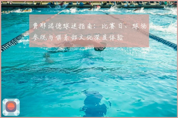 费耶诺德球迷指南:比赛日、球场参观与俱乐部文化深度体验